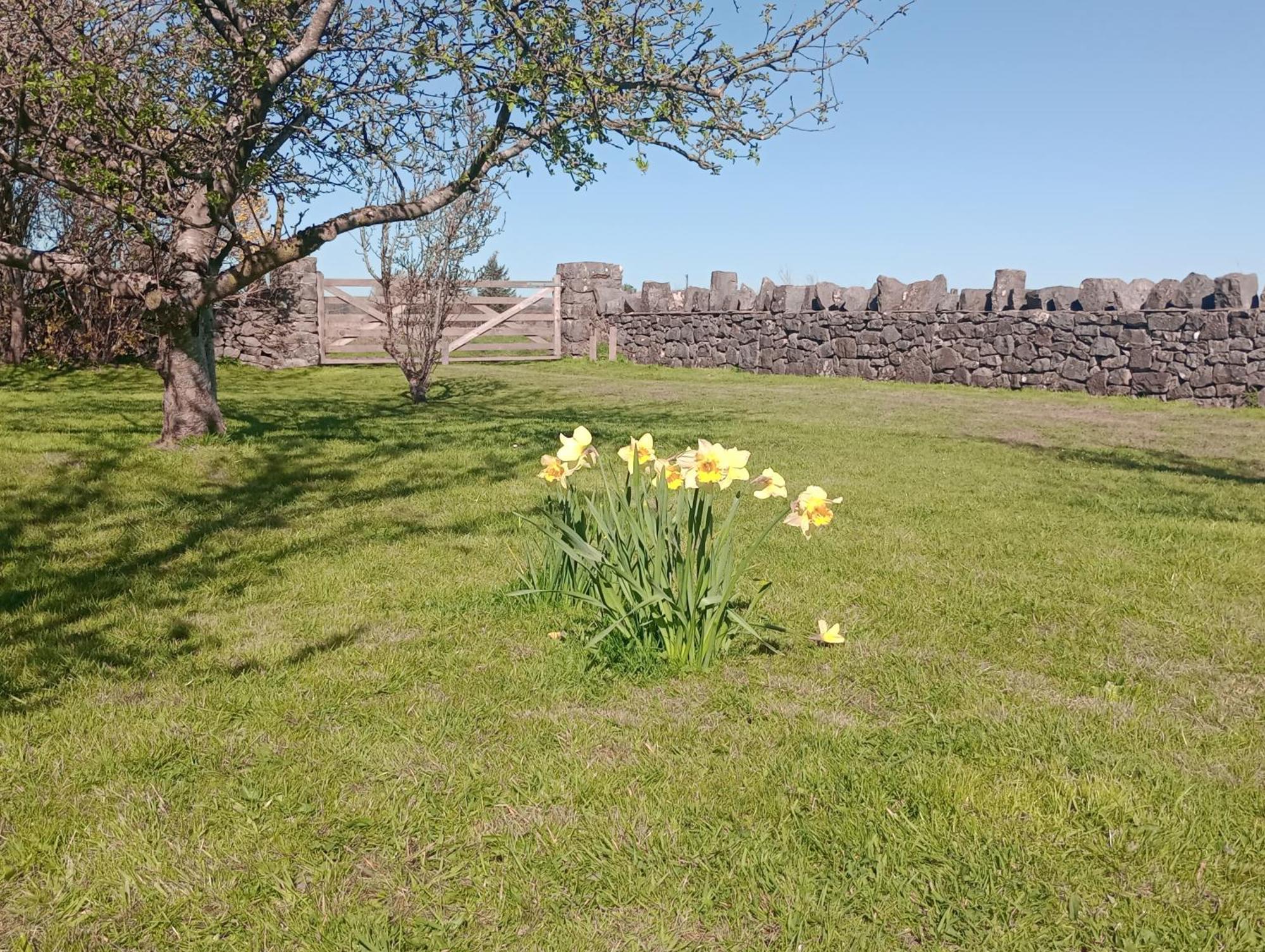 Sunnyside Farm Vila Grange-over-Sands Exterior foto